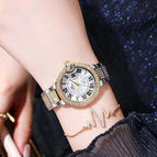 BW Women's watch fashion elegant Large Diamond Starry Watch Waterproof Quartz lady Watch 66132