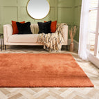 OHS Teddy Fluffy Shaggy Rug Soft Warm Plush Cosy Living Room Hallway Bedroom Home Decor Anti Slip Indoor Carpet Area Mat