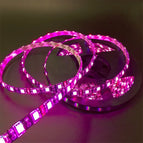 16.4ft Led Strip 5050 RGB 1m/2m/3m/4m/5m Black PCB 12V 60LEDs/m Waterproof IP65/Non Waterproof IP20 For TV Background Decoration