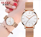 OLEVS 2021 Women watch fashion simple ultra thin classic quartz office lady watch G5869