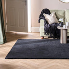 OHS Teddy Fluffy Shaggy Rug Soft Warm Plush Cosy Living Room Hallway Bedroom Home Decor Anti Slip Indoor Carpet Area Mat