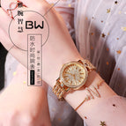 BW women's watch high grade full diamond full Star Bracelet Watch fashion elegant quartz women's Watch 8359