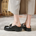 Women's Shoes 2022 new autumn small leather shoes women's thick heel Mary Jane shoes women 668-3