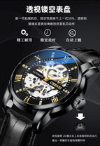 Chenxi Men's Skeleton Automatic Mechanical Watch leather Fashion Business Waterproof Watch CX-8802