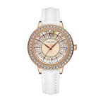 Watch women Ling-shaped cut glass gypsophila female watch simple fashion gift rose gold diamond watch SL5801