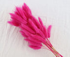 High Quality Rabbit Tail Pampas Grass Natural Dried Flowers in Bohemian Style for Easter Decor or Wedding Home Decor Each Stem