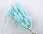 High Quality Rabbit Tail Pampas Grass Natural Dried Flowers in Bohemian Style for Easter Decor or Wedding Home Decor Each Stem
