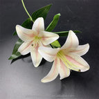 QSLH-V162 Artificial Flowers Lily Real Touch Flowers Lily Latex Lily Flower Artificial for Home Decor