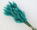 High Quality Rabbit Tail Pampas Grass Natural Dried Flowers in Bohemian Style for Easter Decor or Wedding Home Decor Each Stem