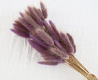 High Quality Rabbit Tail Pampas Grass Natural Dried Flowers in Bohemian Style for Easter Decor or Wedding Home Decor Each Stem