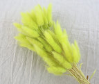 High Quality Rabbit Tail Pampas Grass Natural Dried Flowers in Bohemian Style for Easter Decor or Wedding Home Decor Each Stem