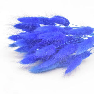 High Quality Rabbit Tail Pampas Grass Natural Dried Flowers in Bohemian Style for Easter Decor or Wedding Home Decor Each Stem