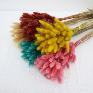 High Quality Rabbit Tail Pampas Grass Natural Dried Flowers in Bohemian Style for Easter Decor or Wedding Home Decor Each Stem