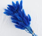 High Quality Rabbit Tail Pampas Grass Natural Dried Flowers in Bohemian Style for Easter Decor or Wedding Home Decor Each Stem