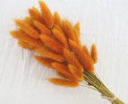 High Quality Rabbit Tail Pampas Grass Natural Dried Flowers in Bohemian Style for Easter Decor or Wedding Home Decor Each Stem