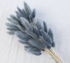 High Quality Rabbit Tail Pampas Grass Natural Dried Flowers in Bohemian Style for Easter Decor or Wedding Home Decor Each Stem