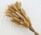 High Quality Rabbit Tail Pampas Grass Natural Dried Flowers in Bohemian Style for Easter Decor or Wedding Home Decor Each Stem