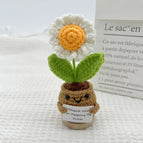 Handmade Crochet Positive Sunflower Doll Crochet With Card Sunflower Heart Flower Potting Knitting Flower Knit Potted Flower