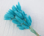 High Quality Rabbit Tail Pampas Grass Natural Dried Flowers in Bohemian Style for Easter Decor or Wedding Home Decor Each Stem