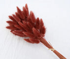 High Quality Rabbit Tail Pampas Grass Natural Dried Flowers in Bohemian Style for Easter Decor or Wedding Home Decor Each Stem