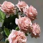 C-R041 Wholesale High Quality Artificial Real Touch Latex Roses Faux Silk Roses for Wedding Home Party Decoration