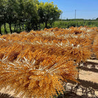 DREA Factory Wholesale Artificial Gold Eucalyptus Leaves Artificial Palm Leaf for Christmas Home Decor