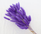 High Quality Rabbit Tail Pampas Grass Natural Dried Flowers in Bohemian Style for Easter Decor or Wedding Home Decor Each Stem