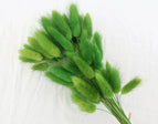 High Quality Rabbit Tail Pampas Grass Natural Dried Flowers in Bohemian Style for Easter Decor or Wedding Home Decor Each Stem