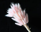 High Quality Rabbit Tail Pampas Grass Natural Dried Flowers in Bohemian Style for Easter Decor or Wedding Home Decor Each Stem