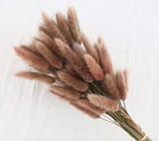 High Quality Rabbit Tail Pampas Grass Natural Dried Flowers in Bohemian Style for Easter Decor or Wedding Home Decor Each Stem