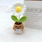 Handmade Crochet Positive Sunflower Doll Crochet With Card Sunflower Heart Flower Potting Knitting Flower Knit Potted Flower