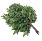 QSLH-V116 Artificial Green Plants Silk Ficus Plant Branch Ficus Tree Branches Artificial Ficus for Decor