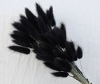 High Quality Rabbit Tail Pampas Grass Natural Dried Flowers in Bohemian Style for Easter Decor or Wedding Home Decor Each Stem