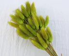 High Quality Rabbit Tail Pampas Grass Natural Dried Flowers in Bohemian Style for Easter Decor or Wedding Home Decor Each Stem