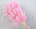 High Quality Rabbit Tail Pampas Grass Natural Dried Flowers in Bohemian Style for Easter Decor or Wedding Home Decor Each Stem