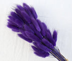 High Quality Rabbit Tail Pampas Grass Natural Dried Flowers in Bohemian Style for Easter Decor or Wedding Home Decor Each Stem