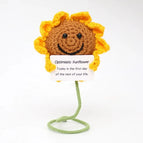 Mini Positive Potato Funny Avocado Duck Cute Knitted Crochet Doll with Card for Women Men Mom Dad Friend Birthday Cheer Up Gifts