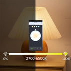 Smart Life Tuya WiFi E27 Bulb  LED Lights App Dimmable Voice Control Works With Alexa Google Assistant 220V 2700-6500K