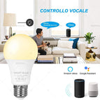 Smart Life Tuya WiFi E27 Bulb  LED Lights App Dimmable Voice Control Works With Alexa Google Assistant 220V 2700-6500K