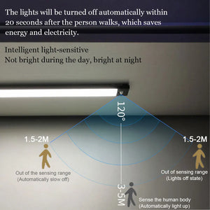 Zoyaloo Led Night Light Utra Thin 20/40CM Under Cabinet Closet Kitchen  Motion Sensor Lighting Magnetic Install Night Lamp