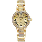 BW Women's watch fashion elegant Large Diamond Starry Watch Waterproof Quartz lady Watch 66132