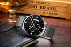 2019 new Crnaira brand Casual fashion quartz multi-function waterproof Mesh belt leather watch c029