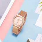 WWOOR 8877 New Diamond Women's Watch Mesh Belt Quartz Waterproof Casual Watch 8877