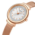 Wallis Fashion Watch Gypsophila Diamond Ladies Watch Milan Mesh Belt Quartz Watch Waterproof Watch Women S530