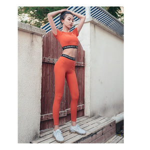 Women's tracksuits simple fashion quick dry running two-piece yoga set Y26B0428 / 9