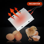12V 70C AC/DC Thermostatic Heating element PTC heater incubator heater ceramic aluminum heater with shell 77*62mm
