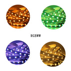 12mm PCB 5M 4in1 5in1 RGB+CCT LED Strip 5050 60leds/m 5 Colors in 1 chip CW+RGB+WW RGBW RGBWW flexible Led Tape Light 12V 24V