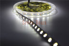 5m 12V Double Color 5050 / 5025 LED Strip DC12V Flexible Tape, CW/WW Dual White in 1 Chip Color Temperature Adjustable CCT Strip