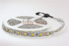 5m 12V Double Color 5050 / 5025 LED Strip DC12V Flexible Tape, CW/WW Dual White in 1 Chip Color Temperature Adjustable CCT Strip