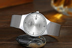 WWOOR Fashion Mens Watches Auto Date Luxury Quartz Watch Men Casual Slim Mesh Steel Waterproof Sport Watch Relogio Masculino